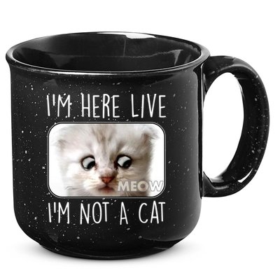 I'm Here Live I'm Not A Cat Zoom Lawyer Cat Meme 15oz Campfire Ceramic Mug