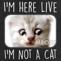 I'm Here Live I'm Not A Cat Zoom Lawyer Cat Meme 15oz Campfire Ceramic Mug