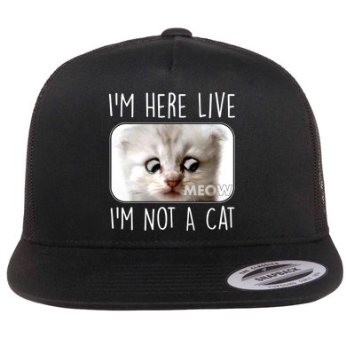 I'm Here Live I'm Not A Cat Zoom Lawyer Cat Meme Flat Bill Trucker Hat