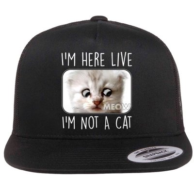 I'm Here Live I'm Not A Cat Zoom Lawyer Cat Meme Flatbill Hat