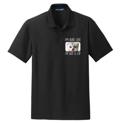 I'm Here Live I'm Not A Cat Zoom Lawyer Cat Meme Dry Zone Grid Polo