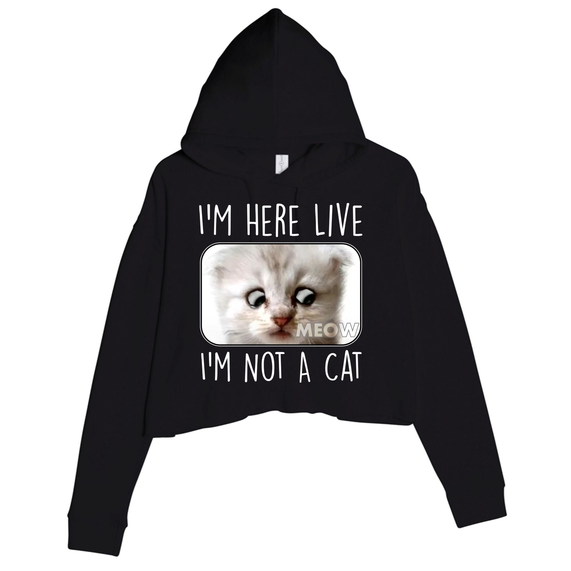 I'm Here Live I'm Not A Cat Zoom Lawyer Cat Meme Crop Fleece Hoodie