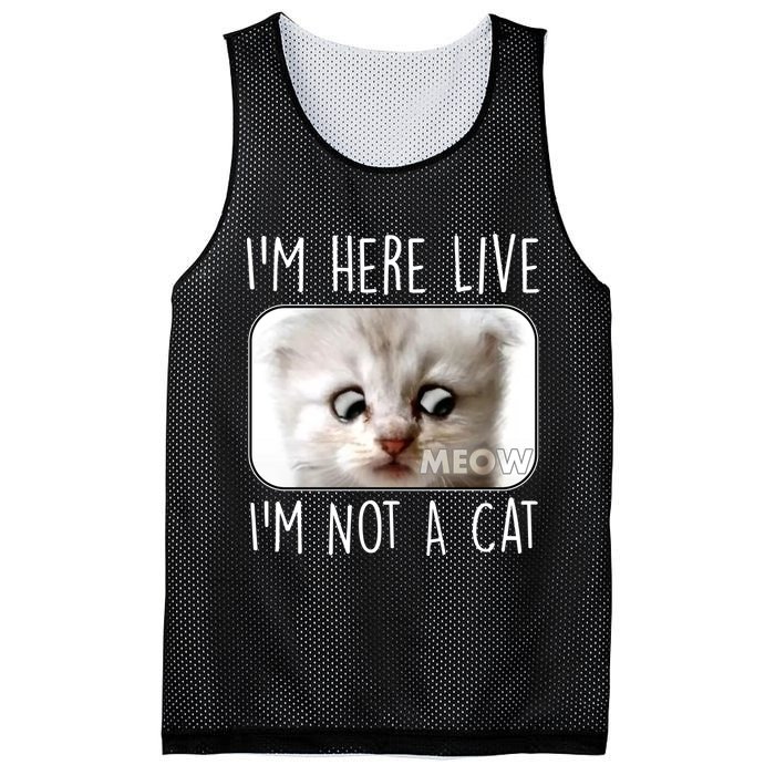 I'm Here Live I'm Not A Cat Zoom Lawyer Cat Meme Mesh Reversible Basketball Jersey Tank