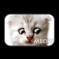 I'm Here Live I'm Not A Cat Zoom Lawyer Cat Meme 16oz Travel Tumbler