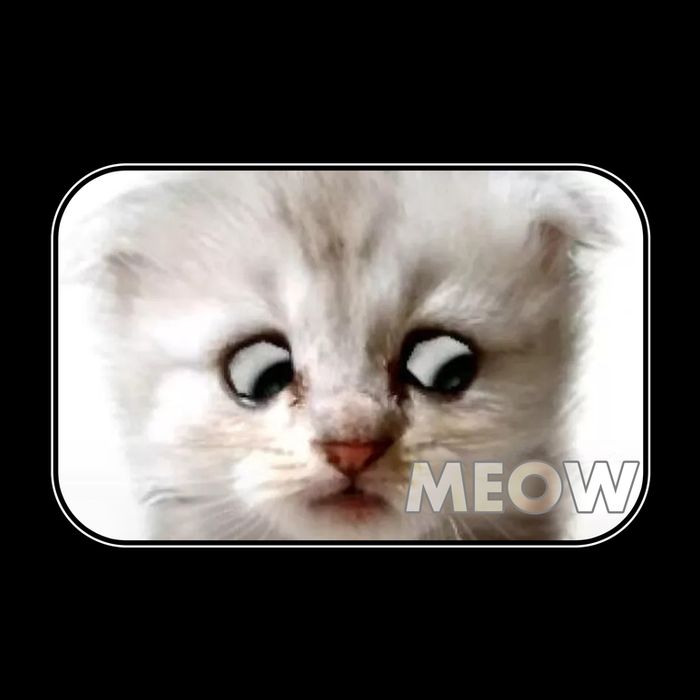 I'm Here Live I'm Not A Cat Zoom Lawyer Cat Meme 16oz Travel Tumbler