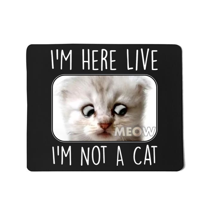 I'm Here Live I'm Not A Cat Zoom Lawyer Cat Meme Mousepad