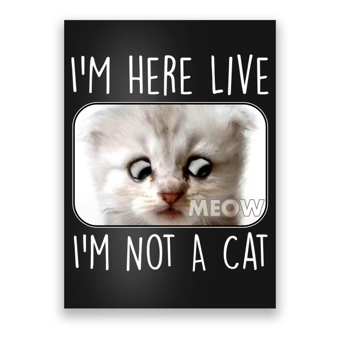 I'm Here Live I'm Not A Cat Zoom Lawyer Cat Meme Poster