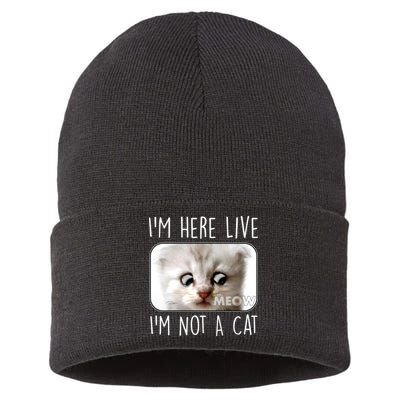 I'm Here Live I'm Not A Cat Zoom Lawyer Cat Meme Sustainable Knit Beanie