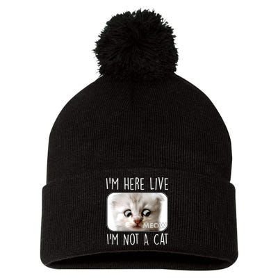 I'm Here Live I'm Not A Cat Zoom Lawyer Cat Meme Pom Pom 12in Knit Beanie