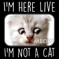 I'm Here Live I'm Not A Cat Zoom Lawyer Cat Meme Baby Bodysuit
