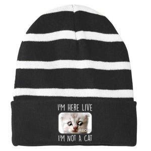 I'm Here Live I'm Not A Cat Zoom Lawyer Cat Meme Striped Beanie with Solid Band