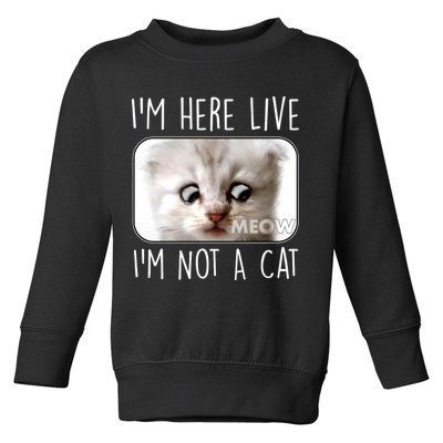 I'm Here Live I'm Not A Cat Zoom Lawyer Cat Meme Toddler Sweatshirt