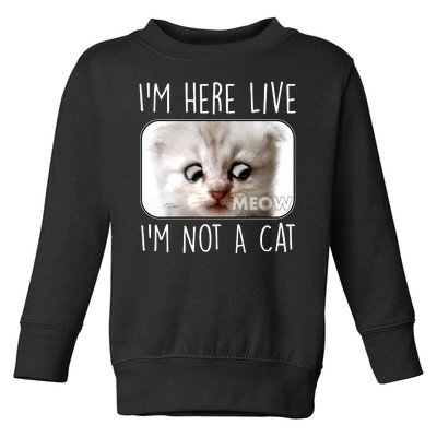 I'm Here Live I'm Not A Cat Zoom Lawyer Cat Meme Toddler Sweatshirt