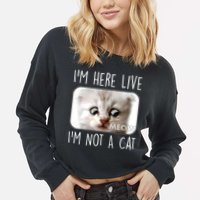 I'm Here Live I'm Not A Cat Zoom Lawyer Cat Meme Cropped Pullover Crew