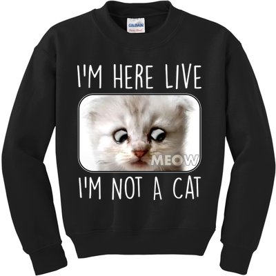 I'm Here Live I'm Not A Cat Zoom Lawyer Cat Meme Kids Sweatshirt