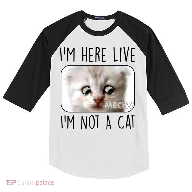 I'm Here Live I'm Not A Cat Zoom Lawyer Cat Meme Kids Colorblock Raglan Jersey