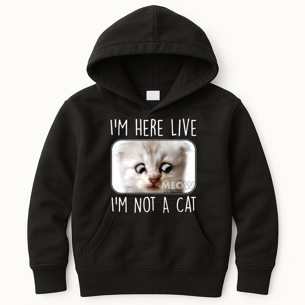 I'm Here Live I'm Not A Cat Zoom Lawyer Cat Meme Kids Hoodie