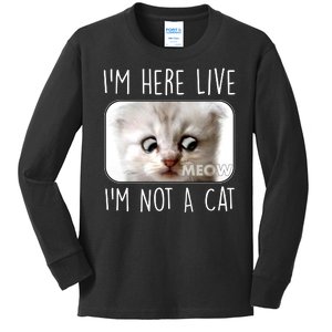 I'm Here Live I'm Not A Cat Zoom Lawyer Cat Meme Kids Long Sleeve Shirt