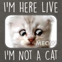 I'm Here Live I'm Not A Cat Zoom Lawyer Cat Meme Cotton Canvas Backpack