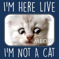 I'm Here Live I'm Not A Cat Zoom Lawyer Cat Meme Infant Baby Jersey Bodysuit