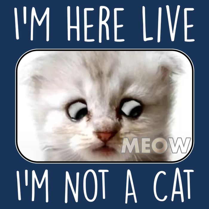 I'm Here Live I'm Not A Cat Zoom Lawyer Cat Meme Infant Baby Jersey Bodysuit