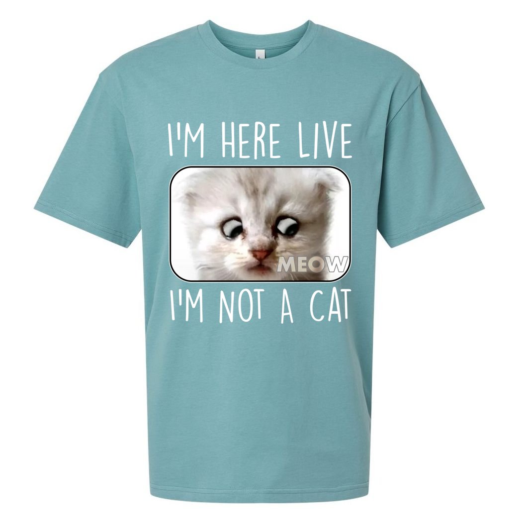 I'm Here Live I'm Not A Cat Zoom Lawyer Cat Meme Sueded Cloud Jersey T-Shirt