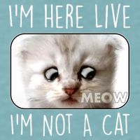 I'm Here Live I'm Not A Cat Zoom Lawyer Cat Meme Sueded Cloud Jersey T-Shirt