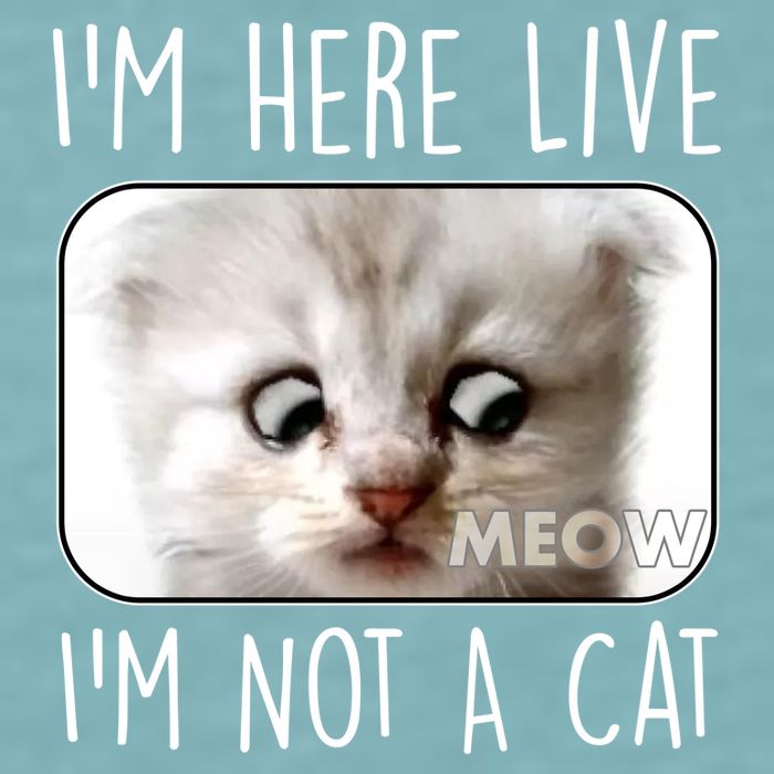 I'm Here Live I'm Not A Cat Zoom Lawyer Cat Meme Sueded Cloud Jersey T-Shirt
