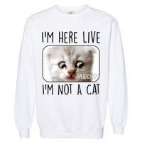 I'm Here Live I'm Not A Cat Zoom Lawyer Cat Meme Garment-Dyed Sweatshirt