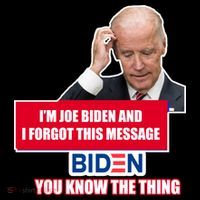 I'm Joe Biden I Forgot This Message Biden You Know The Thing Funny Kids T-Shirt