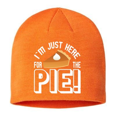 I'm Just Here For The Pie Sustainable Beanie