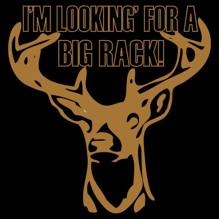 I'm Looking For A Big Rack Women's V-Neck T-Shirt