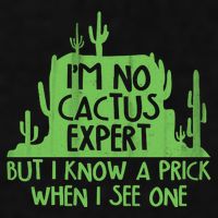 I'm No Cactus Expert But I Know a Prick When I See One Ladies PosiCharge Tri-Blend Wicking Tank