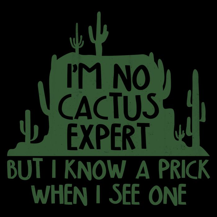 I'm No Cactus Expert But I Know a Prick When I See One Mug