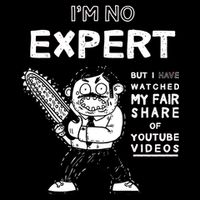 I'm No Expert Funny Video Cropped Pullover Crew