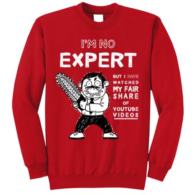 I'm No Expert Funny Video Sweatshirt