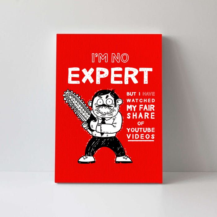 I'm No Expert Funny Video Canvas