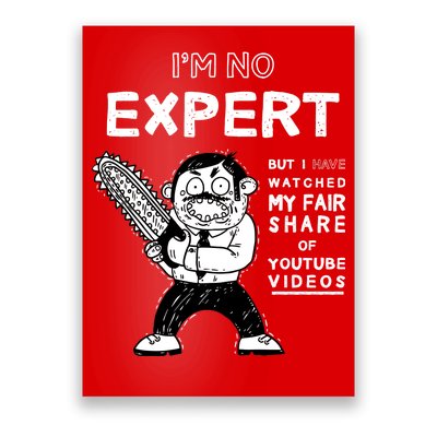 I'm No Expert Funny Video Poster