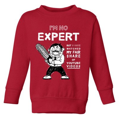 I'm No Expert Funny Video Toddler Sweatshirt