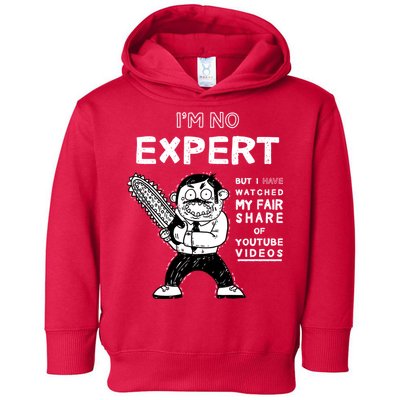 I'm No Expert Funny Video Toddler Hoodie