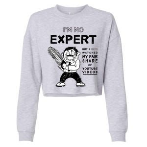 I'm No Expert Funny Video Cropped Pullover Crew