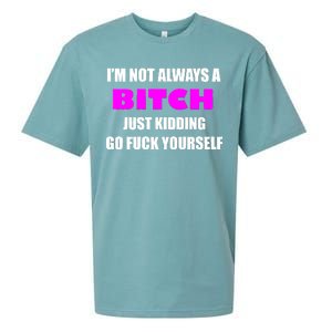 I'm Not Always A Bitch Just Kidding Go Fuck Yourself Sueded Cloud Jersey T-Shirt