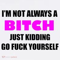 I'm Not Always A Bitch Just Kidding Go Fuck Yourself Funny T-Shirt