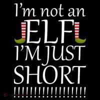 I'm Not An Elf! I'm Just Short Funny Christmas Flatbill Hat