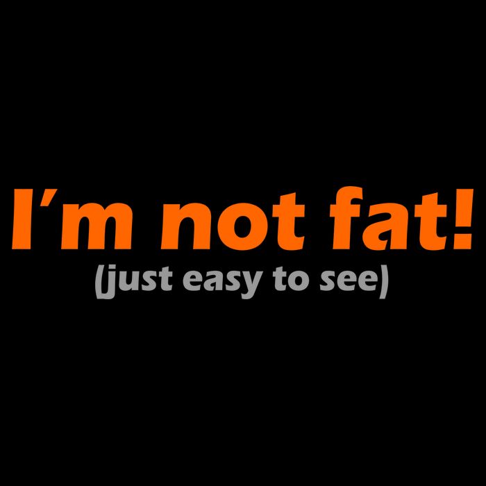 I'm Not Fat Just Easy To See Hoodie
