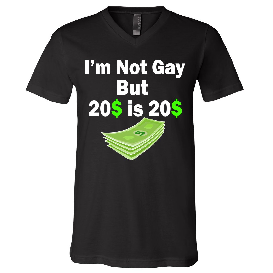 I'm Not Gay But $20 is $20 V-Neck T-Shirt