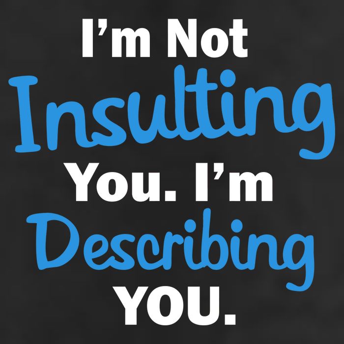 I'm Not Insulting You I'm Describing You 15oz Campfire Ceramic Mug