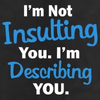 I'm Not Insulting You I'm Describing You 25L Jumbo Tote