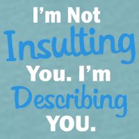 I'm Not Insulting You I'm Describing You Sueded Cloud Jersey T-Shirt