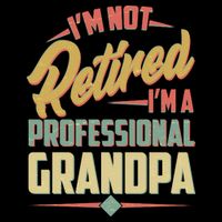 I'm Not Retired I'm A Professional Grandpa Vintage Wool Snapback Cap